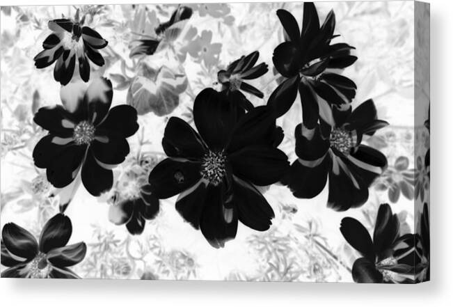 Abstract Photography Canvas Print featuring the photograph Abstract Flowers 4 by Kim Galluzzo Wozniak