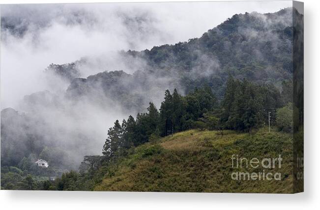 Central America Canvas Print featuring the photograph Boquete Highlands by Heiko Koehrer-Wagner