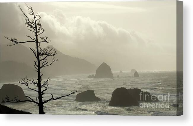 Pacific Ocean Canvas Print featuring the photograph Cannon Beach 2 by Bob Christopher