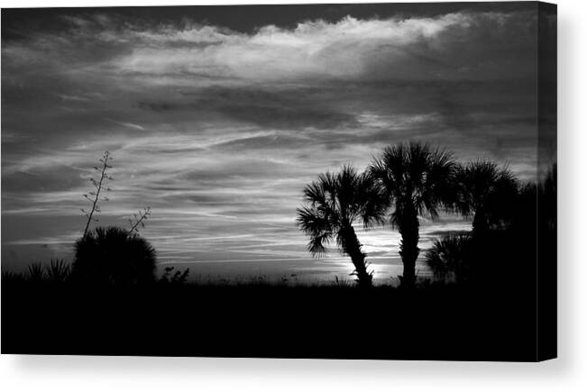 St Pete Beach Canvas Print featuring the photograph Cloudy Thoughts by Phil Cappiali Jr