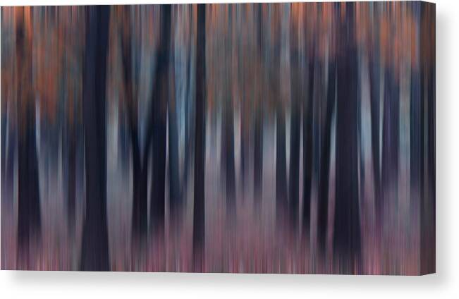 Abstract Canvas Print featuring the photograph Fall in the Midwest by Darlene Bushue