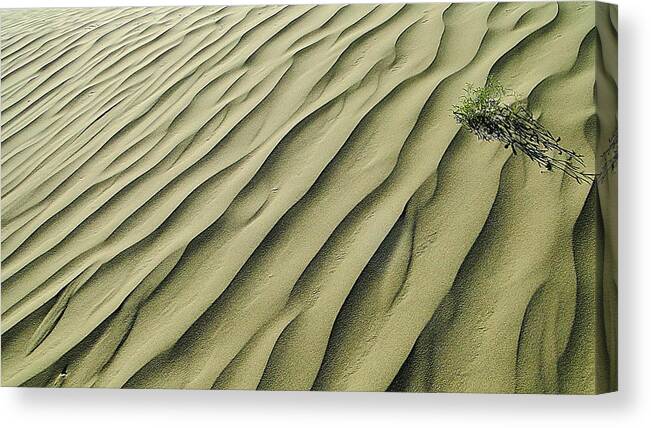 Sand Canvas Print featuring the photograph Sands of Time by Blair Wainman