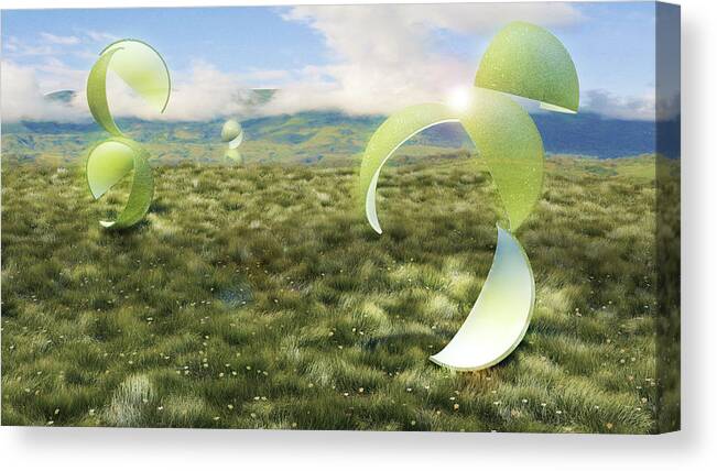 Meadow Canvas Print featuring the digital art Slivers by Gabriel Albin