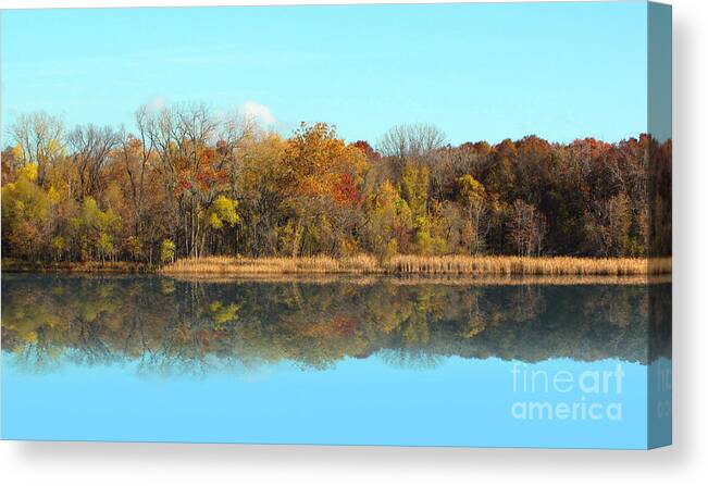 Landscape Canvas Print featuring the photograph Still Waters 1 by Cedric Hampton