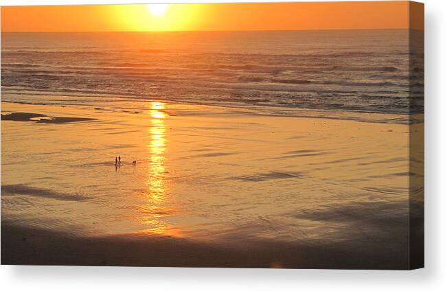 Beach Canvas Print featuring the photograph Walking The Dog by KATIE Vigil