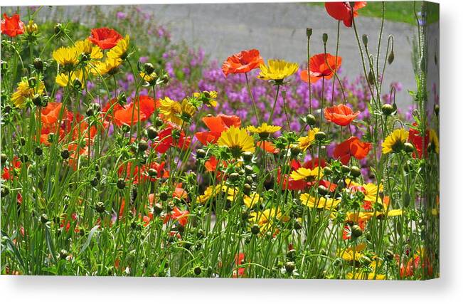 Flowers Canvas Print featuring the photograph Along the Road #1 by Jeanette Oberholtzer