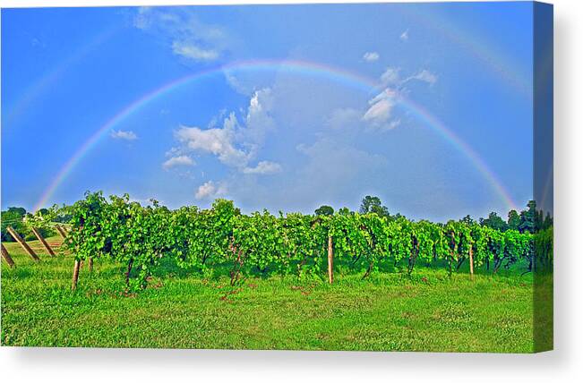 Double Rainbow Canvas Print featuring the photograph Double Rainbow Vineyard, Smith Mountain Lake #1 by The James Roney Collection