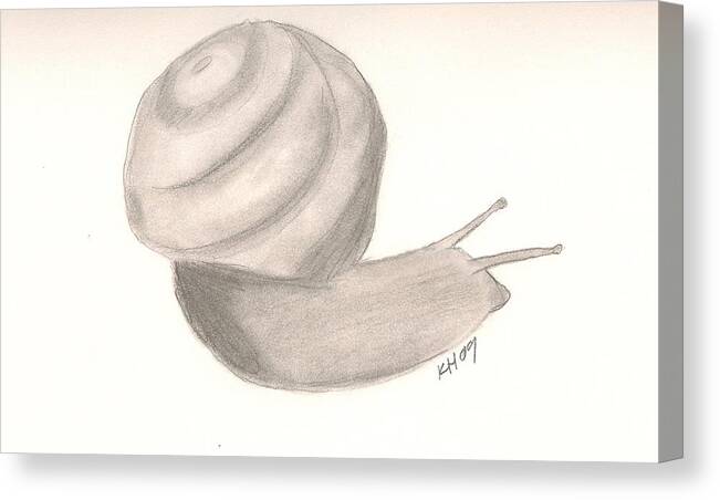 Snail Canvas Print featuring the drawing Snail #1 by Kristen Hurley