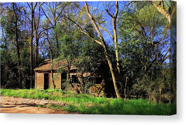 Old Canvas Print featuring the photograph The Old Shed in Springtime #1 by Cathy Harper