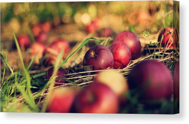 Apple Canvas Print featuring the photograph Apple #6 by Mariel Mcmeeking