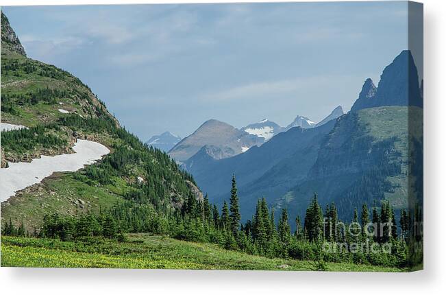 Glacier Canvas Print featuring the photograph A Grand Vista by Nick Boren