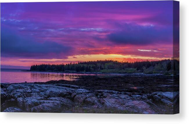 Mount Desert Island Canvas Print featuring the photograph Acadian Nights by Holly Ross