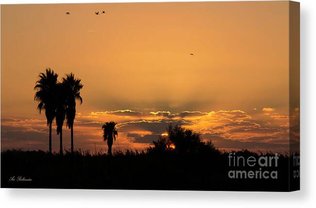 Sunset Canvas Print featuring the photograph African style sunset 02 by Arik Baltinester