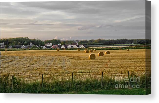 Evening Landscape Canvas Print featuring the photograph After harvest. by Elena Perelman