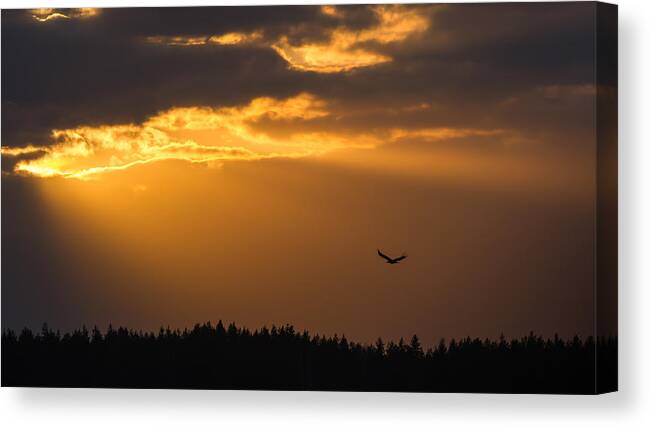 At Nightfall Canvas Print featuring the photograph At nightfall by Torbjorn Swenelius