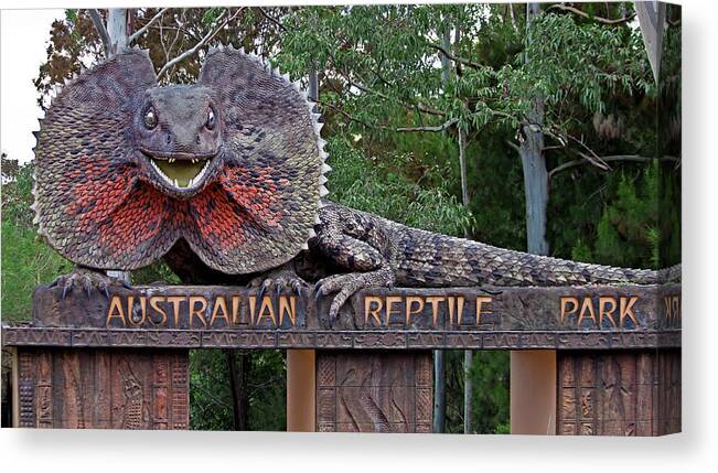 Australian Reptile Park Canvas Print featuring the photograph Australian Reptile Park by Miroslava Jurcik