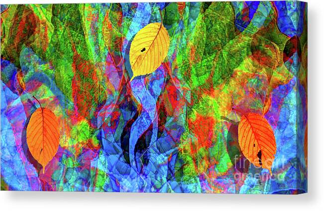 Autumn Canvas Print featuring the photograph Autumn Leaves Abstract by Jeff Breiman