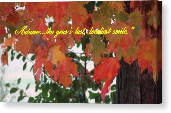 Autumn Quote Canvas Print featuring the photograph Autumn's last Smile Photo by Stacie Siemsen