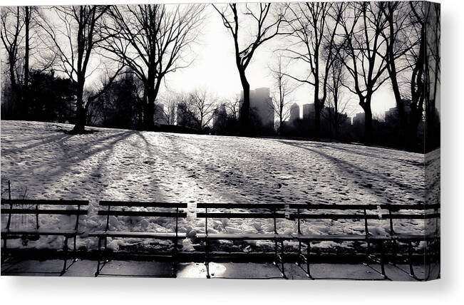 Manhattan Canvas Print featuring the photograph Benches by Central Park by Christopher Maxum