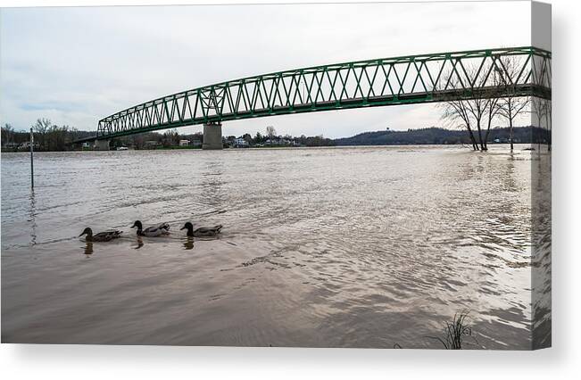 Jan Holden Canvas Print featuring the photograph Bike Trail for the Ducks by Holden The Moment