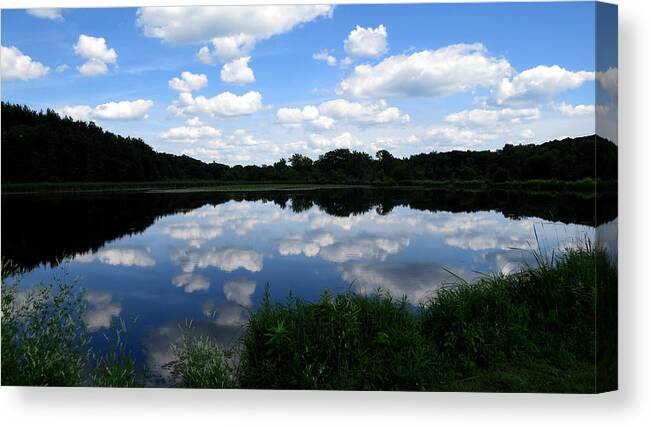 Nature Canvas Print featuring the photograph Blue Skies at Cadiz Springs by Kimberly Mackowski
