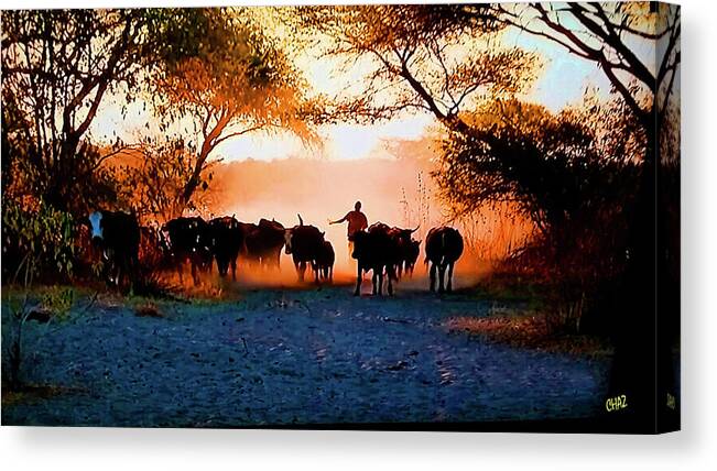 Africa Canvas Print featuring the photograph Bringing In The Herd by CHAZ Daugherty