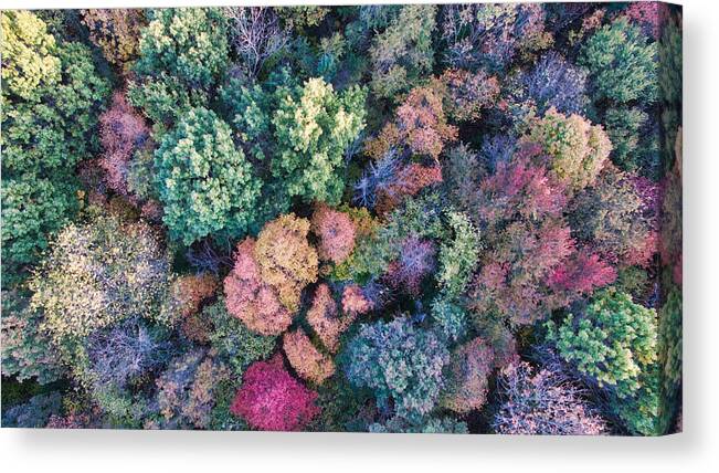 Art Canvas Print featuring the photograph Broccoli by George Strohl