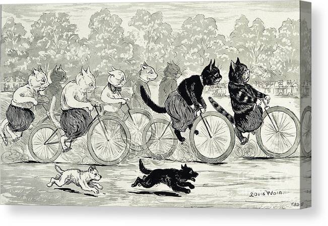 History Canvas Print featuring the photograph Cats In A Bicycle Race, Hyde Park, 1896 by Wellcome Images