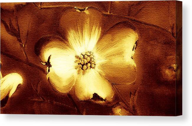 Cherokee Rose Canvas Print featuring the painting Cherokee Rose Dogwood - Single Glow by Jan Dappen