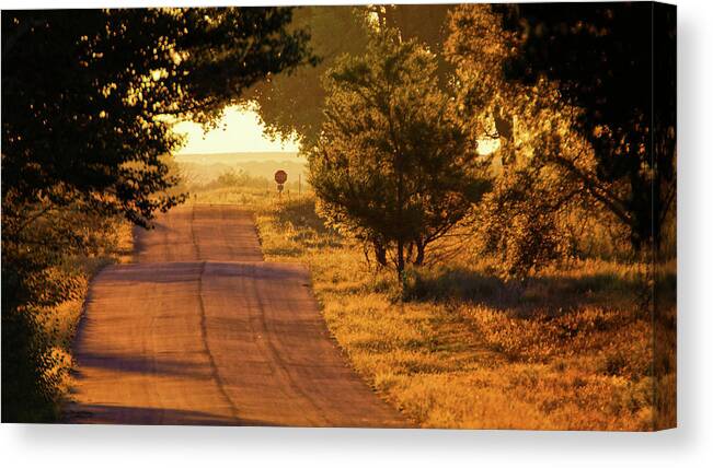 Colorado Canvas Print featuring the photograph Country Roads To Home by John De Bord