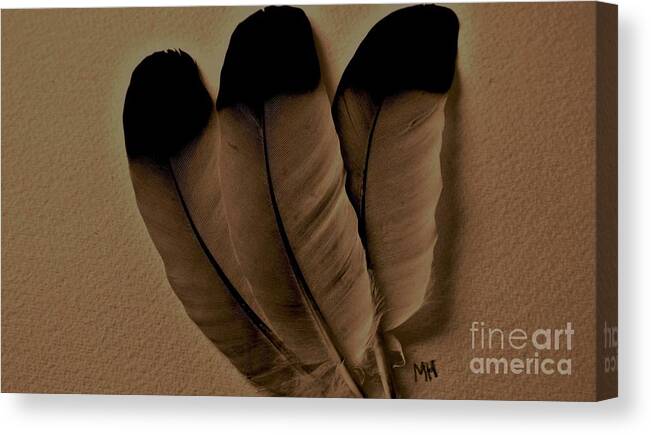 Photo Canvas Print featuring the photograph Dark Feathers by Marsha Heiken