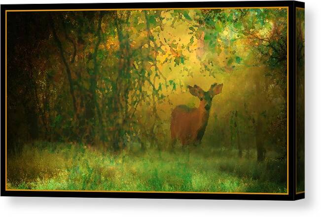 Deer Canvas Print featuring the photograph Early Morning Visitor by Sherri Meyer