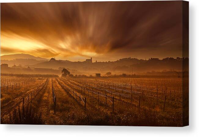 Landscape Canvas Print featuring the photograph Explosion by Jorge Maia