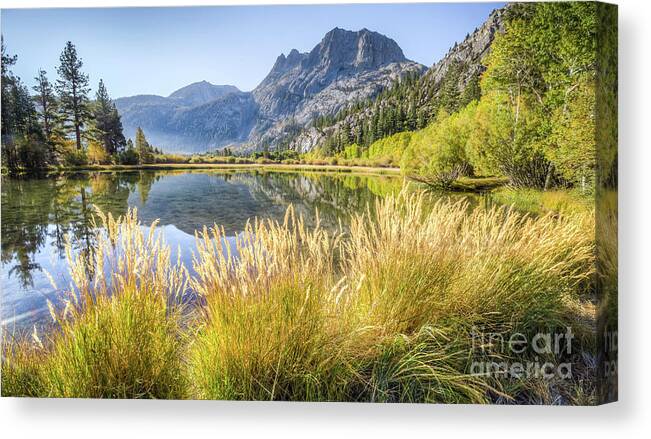 Landscape Canvas Print featuring the photograph Fall along the creek by Charles Garcia