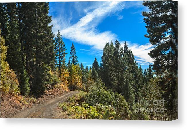 Autumn Canvas Print featuring the photograph Fall Colors In The Mountains by Robert Bales