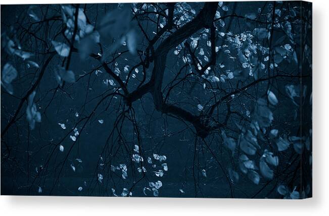 Tree Canvas Print featuring the photograph Lost In Blue by Dorit Fuhg