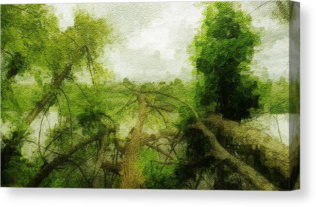 River Canvas Print featuring the photograph Fallen Tree by Eric Wait