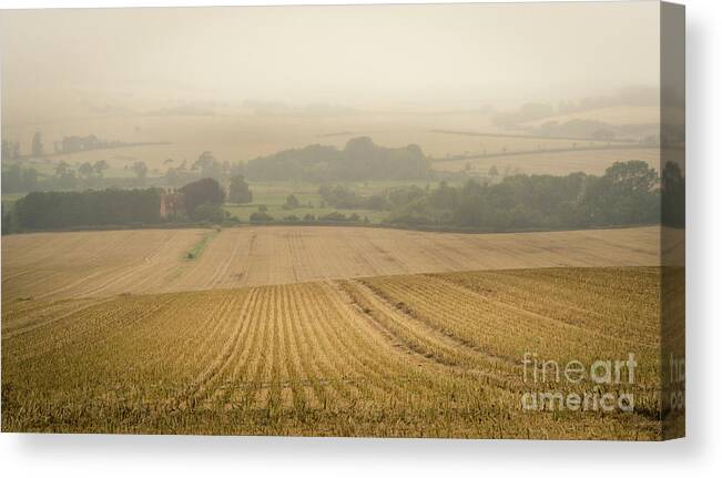 Field Canvas Print featuring the photograph Fields of Gold by Perry Rodriguez