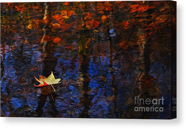 Kings Mountain Canvas Print featuring the photograph Floating in Fall by Randy Rogers