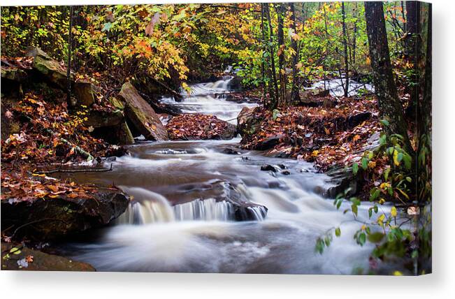 Waterfall Canvas Print featuring the photograph Forest Gem by Parker Cunningham