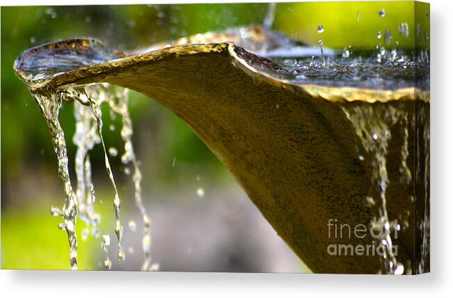 Fountain Canvas Print featuring the photograph Fountain bowl by Eva-Maria Di Bella