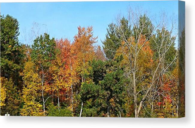 Colorful Canvas Print featuring the photograph Full Fall by Jana E Provenzano