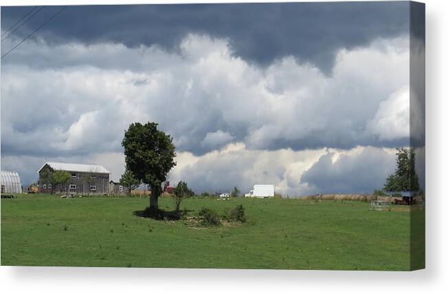 Green Grass Canvas Print featuring the photograph Getting Stormy by Jeanette Oberholtzer
