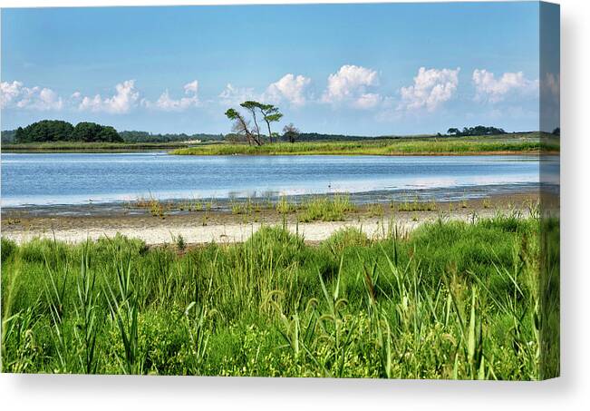 Gordons Pond Canvas Print featuring the photograph Gordons Pond - Cape Henlopen State Park - Delaware by Brendan Reals