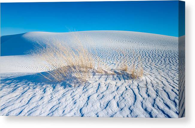 White Sands New Mexico Canvas Print featuring the photograph Grass and Dunes by Joseph Smith