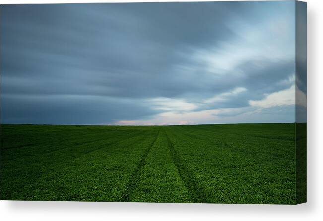 Freedom Canvas Print featuring the photograph Green field and cloudy sky by Michalakis Ppalis