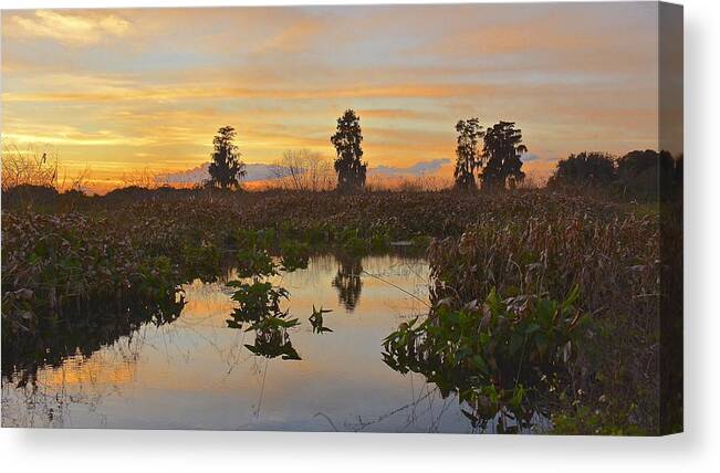 Sunset Canvas Print featuring the photograph Heron Hideout Sunset by Carol Bradley