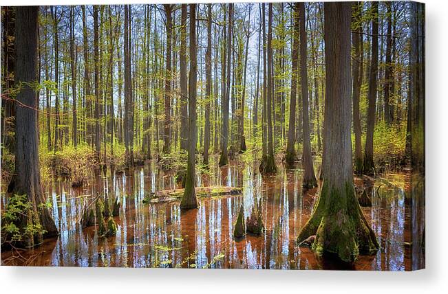 Heron Pond Canvas Print featuring the photograph Heron Pond by Susan Rissi Tregoning