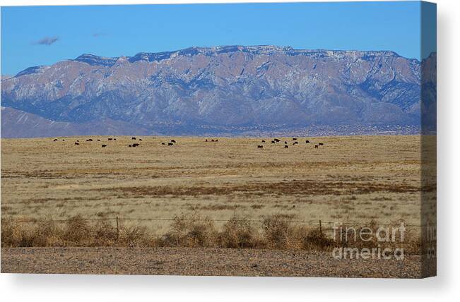 Southwest Landscape Canvas Print featuring the photograph Home on the range by Robert WK Clark
