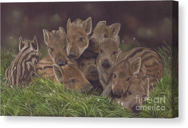 Wild Boar Canvas Print featuring the painting Huddle of Humbugs by Karie-ann Cooper